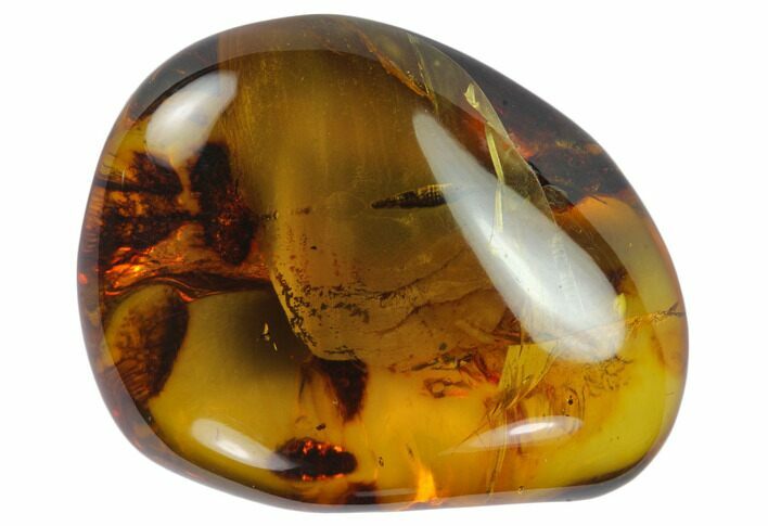 Polished Chiapas Amber ( g) - Mexico #114833